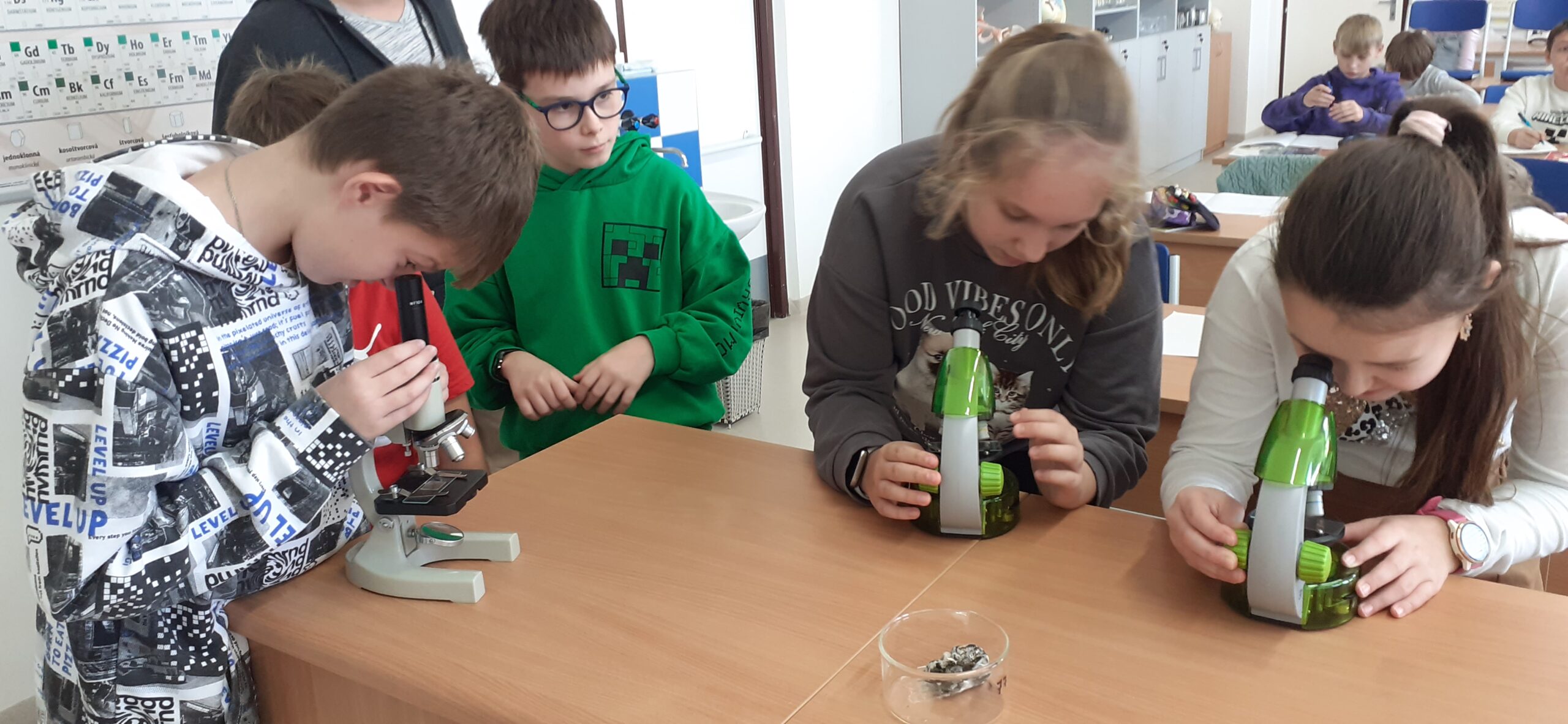 Biológia 6. ročník